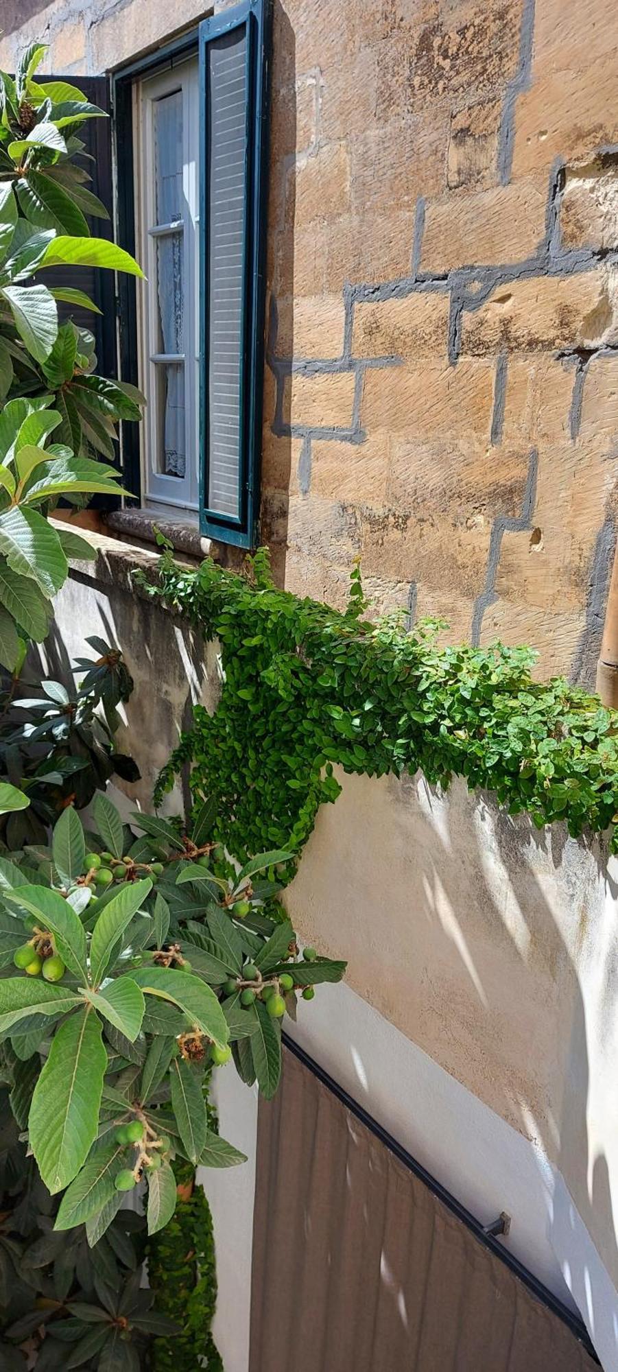 Massa House Bed & Breakfast Лече Стая снимка